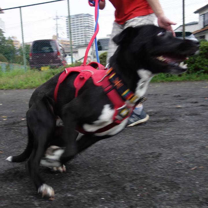 E2a2cd09 0e30 46db 838f 1c4d81f85b3e 1593338228780