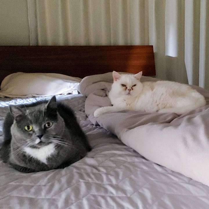 E2a2d4bb b607 4495 8a9c 2f5fb1c61769 1753193285777