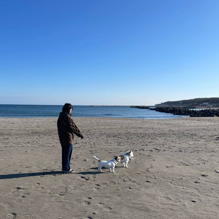 E2a2de44 b7c6 4fc0 8455 ea6a42129f58 1679184142635