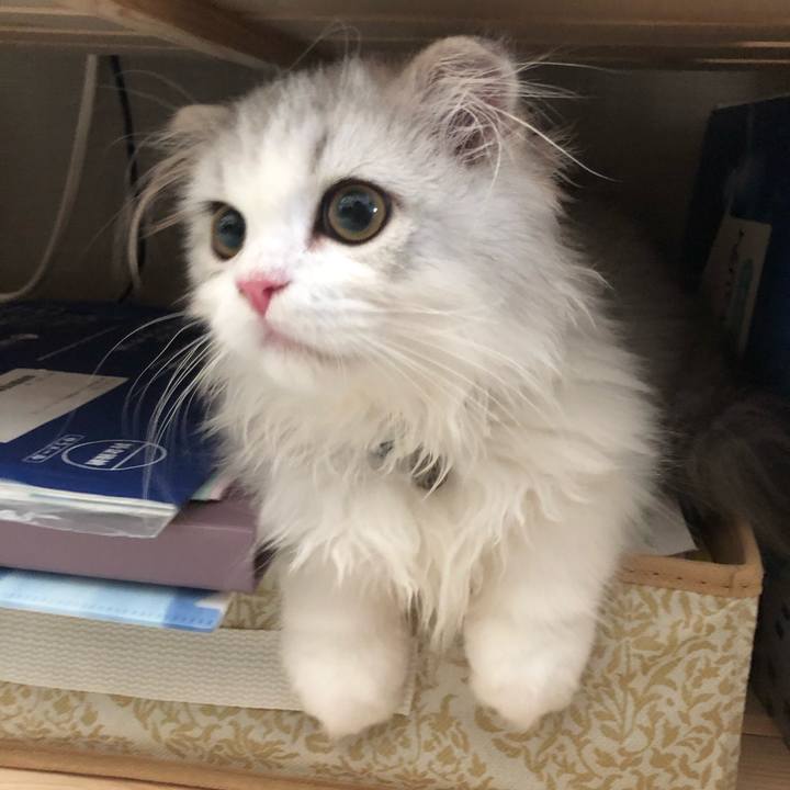 E2a30f3c 23d3 4d64 a6a2 a9b756372dda 1597788508967