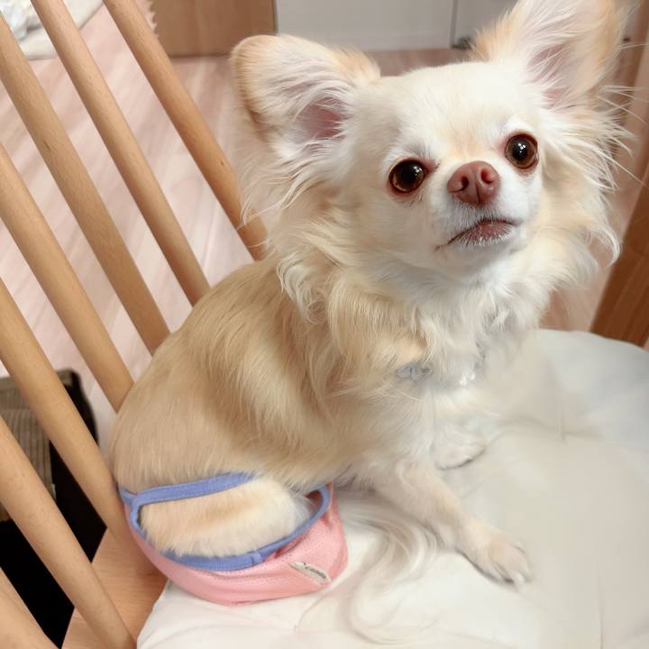 E2a38354 a393 4156 947f 42fa75ae329d 1713852340339