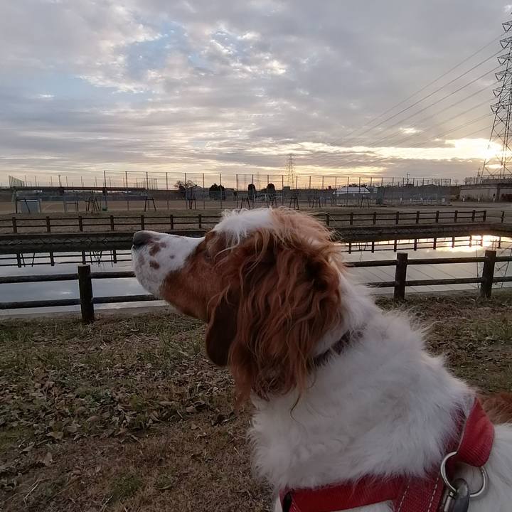 E2a38ccf 3f1d 424c 89dc 94361d20d841 1578308601257