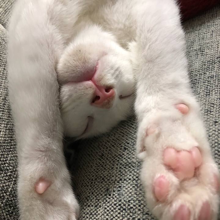 E2a3bc8d 06cf 40c5 a5d4 981c8f48f890 1538405889816