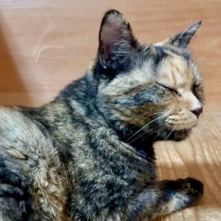 E2a403a8 dab2 408d a9da 2a18d28519ae 1754103193891