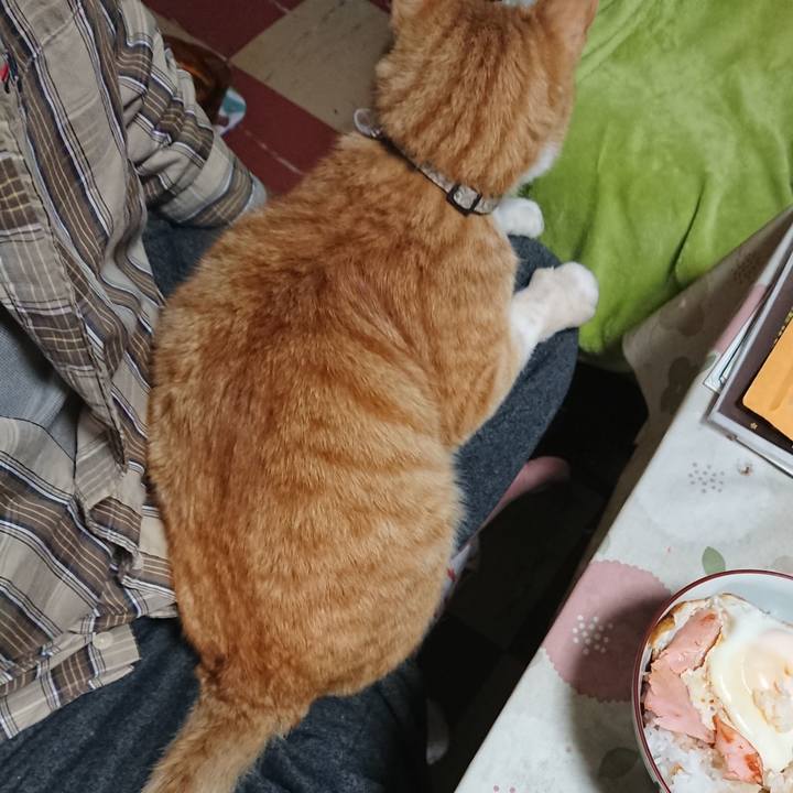 E2a41d56 2114 413e bbc0 cb6c43d70e3b 1589081602566