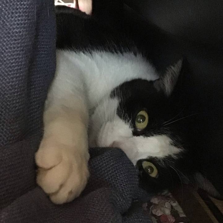 E2a42bb3 fc83 4224 a6c2 2466bf395450 1748753768125