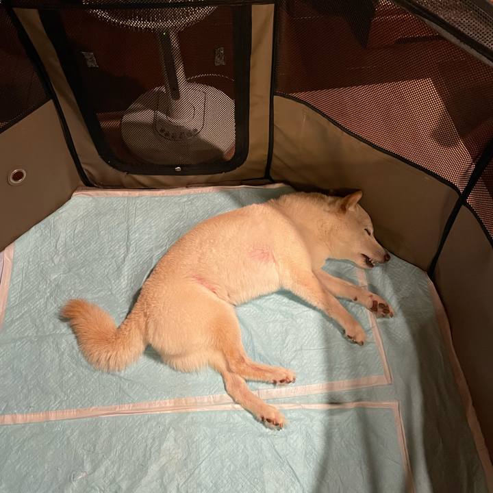 E2a434a7 8e64 45df 9090 bba0eaa6a7e9 1654780319452