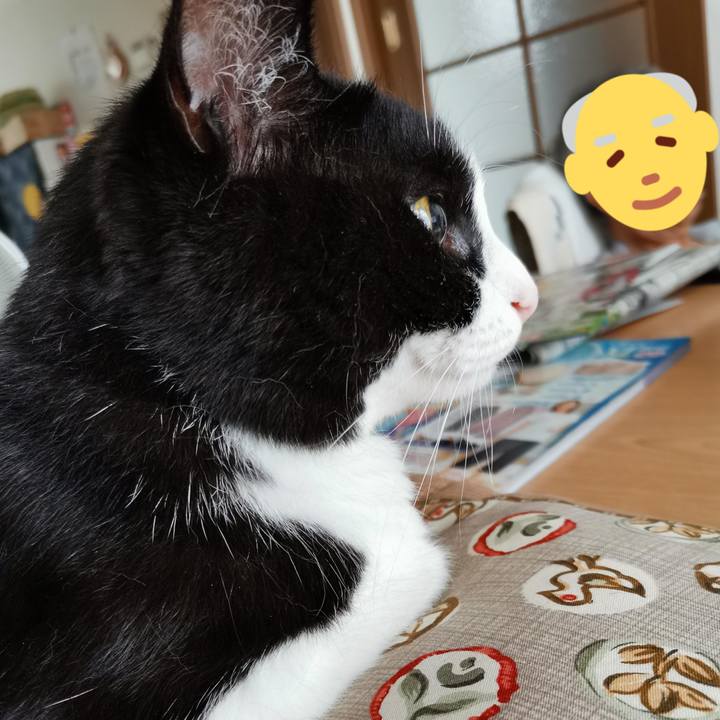 E2a44e70 65b9 4b6e b87a 52ff7752d9e5 1690953596962