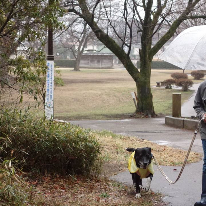 E2a4a8bc 1a80 4cf5 9f16 3f228fde06e9 1740958738860