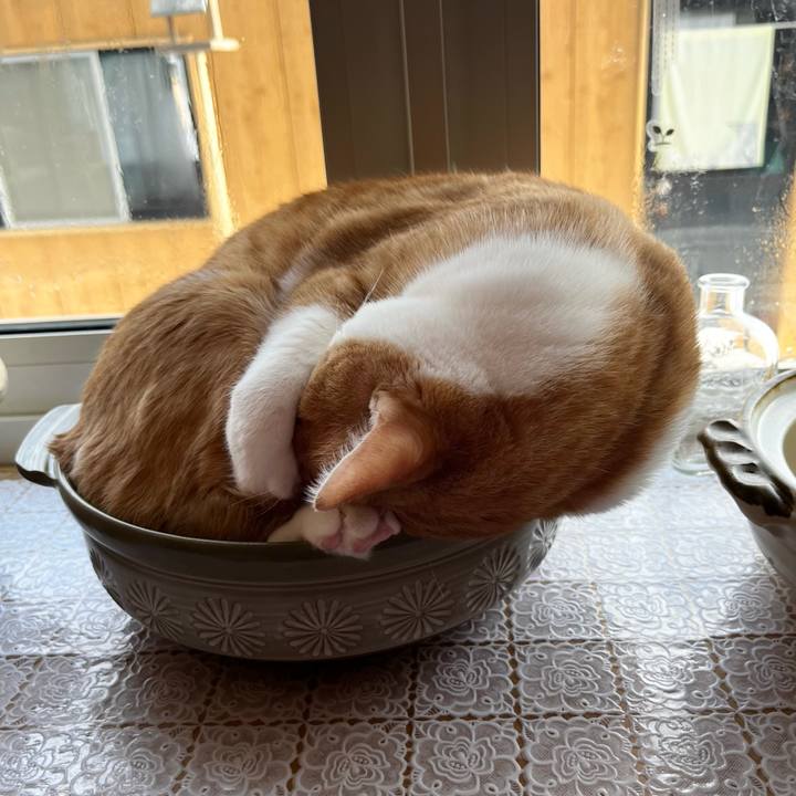 E2a4b679 873b 4927 9959 a8d5f9e270ba 1707727146256