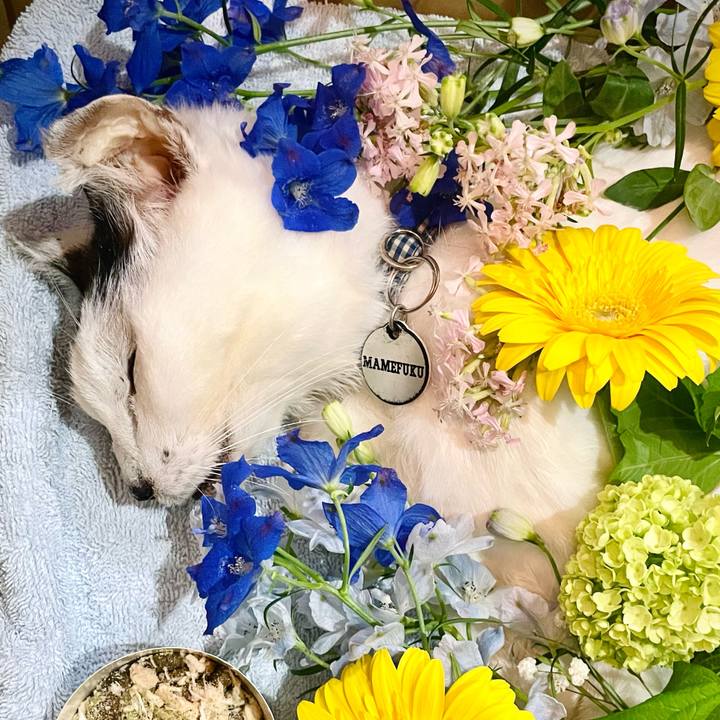 E2a4fe82 e5a3 451a af45 aefbfdcb4462 1714564480033