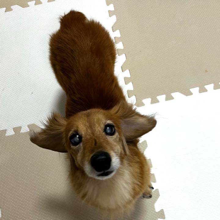 E2a52ac3 057c 40d8 923e f178a0c531b6 1665756733851