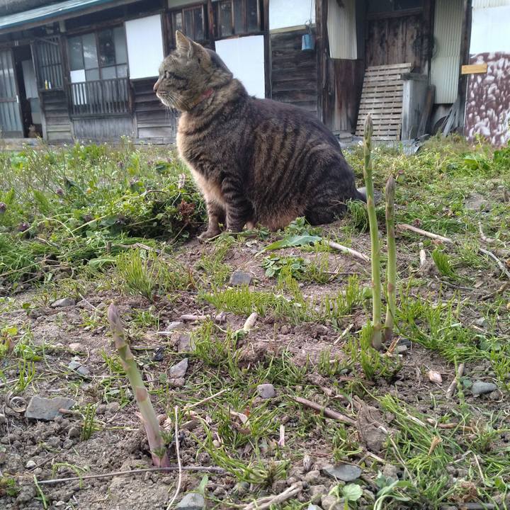 E2a53a4a 2fc5 4245 a7d5 115eda030df4 1713689043181