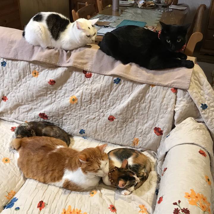 E2a5430e 858c 45b4 89b7 4f8f2e68a00a 1601289222247