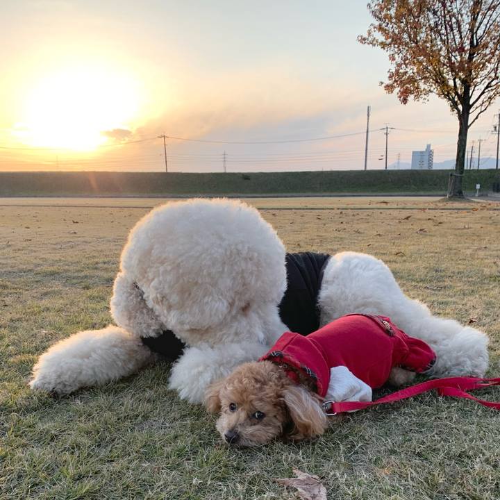 E2a57370 ce9e 4f33 90da a22a3e4d2caa 1764677781224