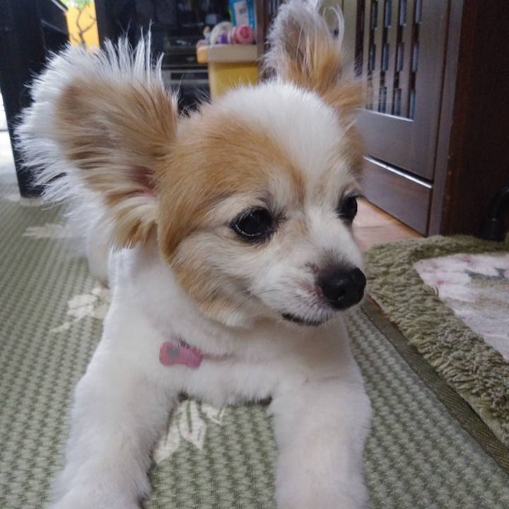 E2a576b4 d723 49be 91a2 a556c406756e 1590151906133