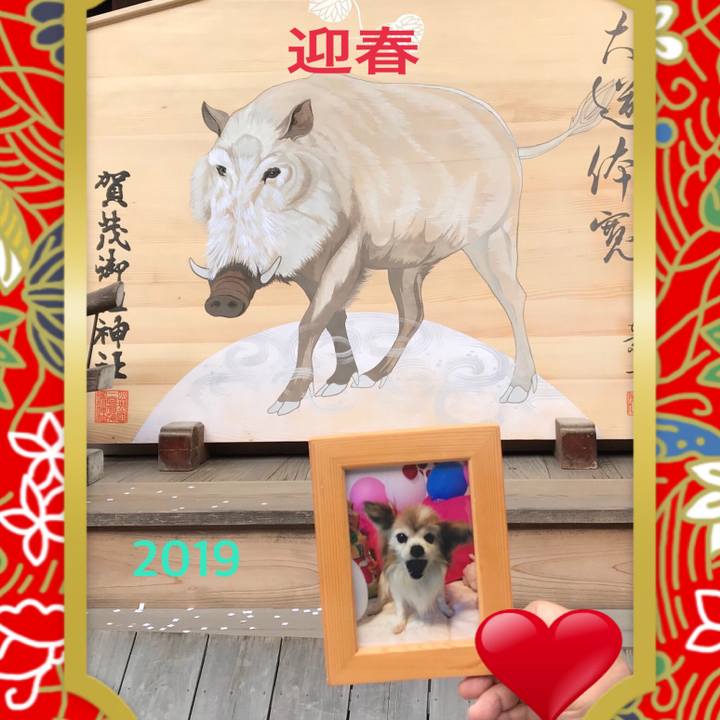 E2a59ab9 168c 4396 89ef 0668d6168309 1546271069594