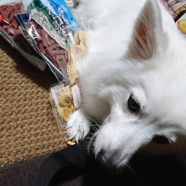 E2a59cf4 139e 42ad a48b c5cd73833b1f 1534510645628