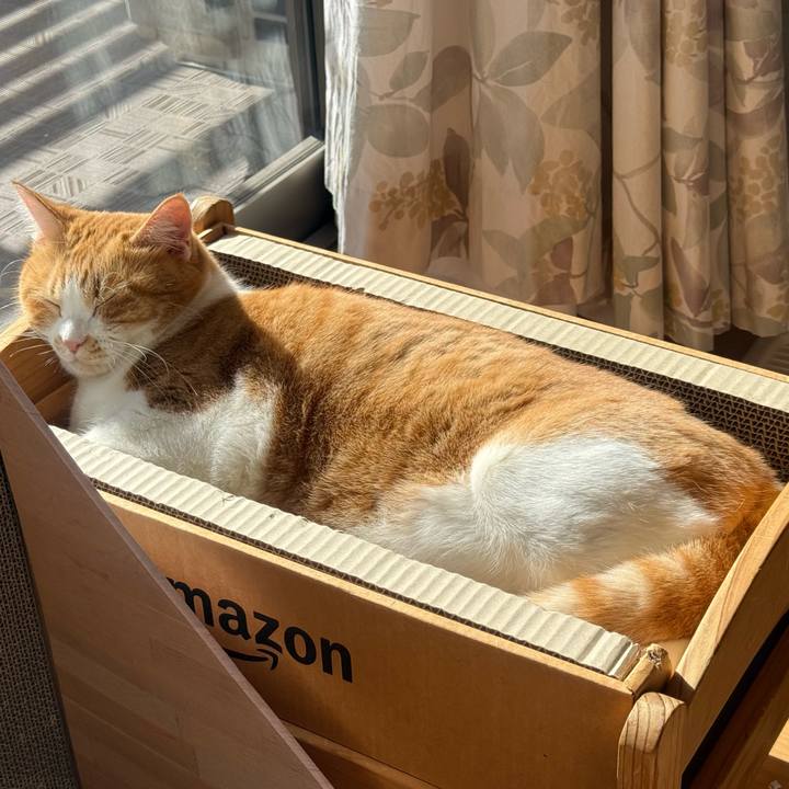 E2a5a64f 4a98 47cb 9187 0f79f611cd53 1768105464246