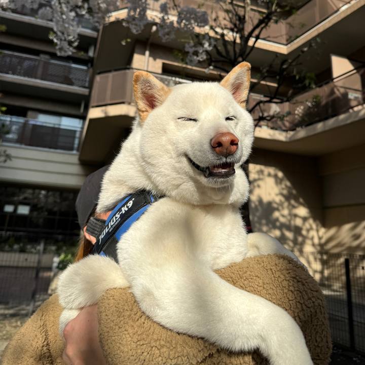 E2a5b2c9 5284 4a81 9234 508317731f85 1712644128494