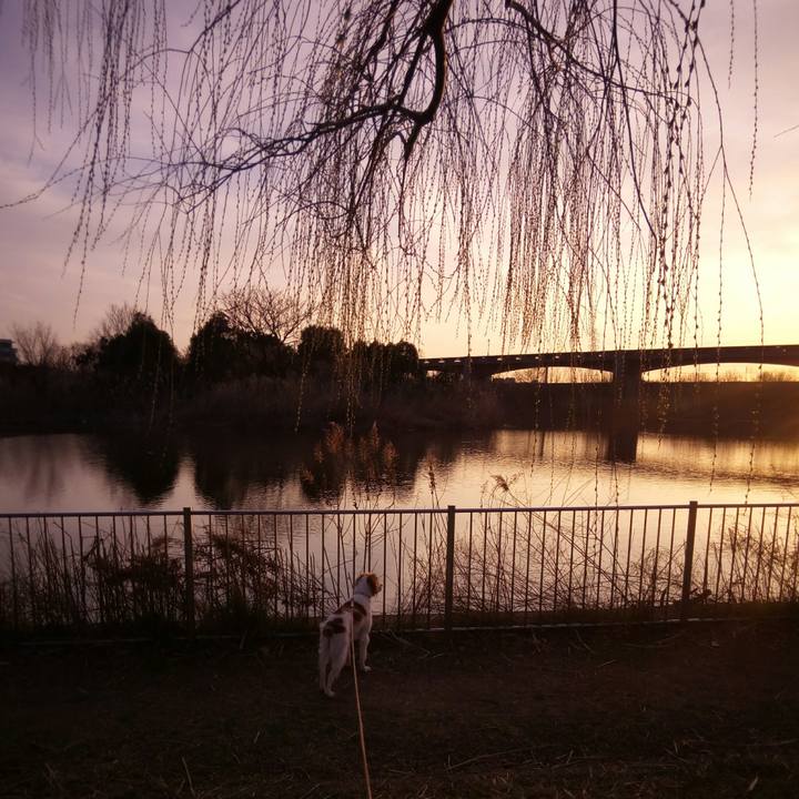 E2a5d342 d570 4e8f 807e 2cd7a5b4b40d 1520165516329