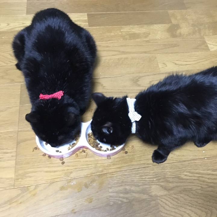 E2a5e21b ce6f 419b bd5b 2eeb64d9c079 1561245645239