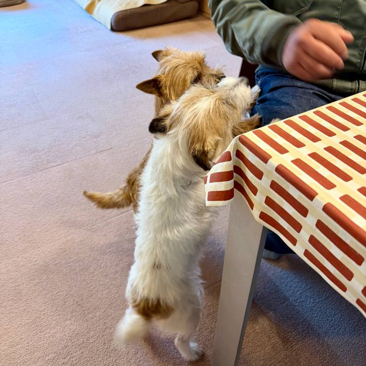 E2a641a1 5b14 4407 9b0e af9912b40705 1774113338382