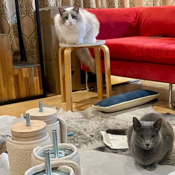 E2a68040 d1af 4180 8dc1 c9cdb11ec620 1706707041679