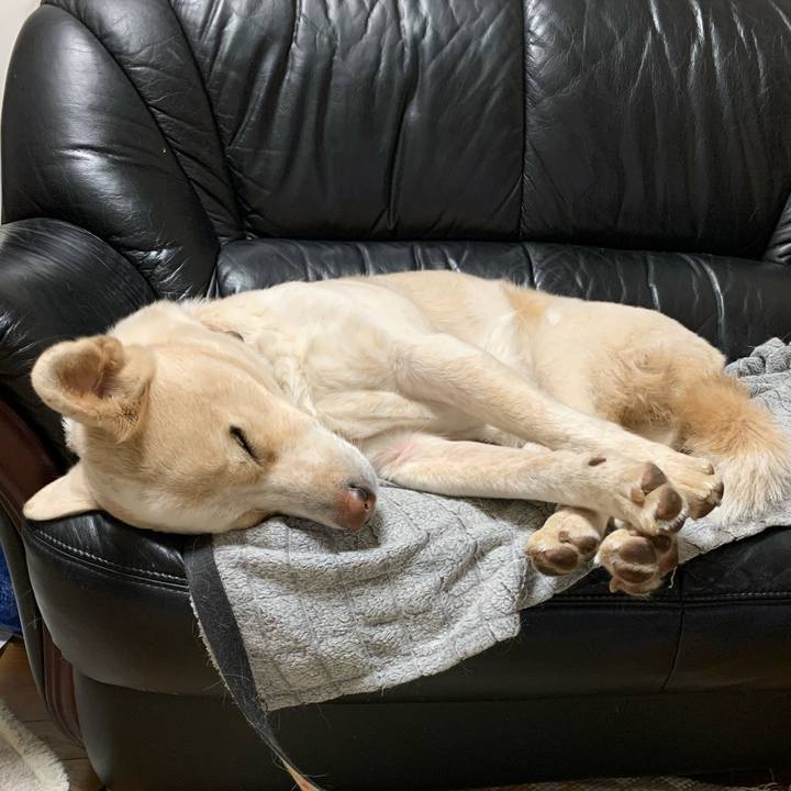 E2a694ab 0dcd 47ec a413 792f08e75e2b 1577543436675