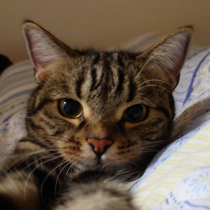 E2a69814 ade8 4094 9cbf 42e28873974e 1619073115418