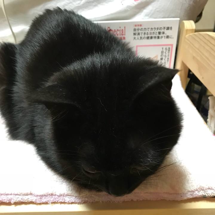 E2a6adaf dd4a 4103 ad1d ae2445435350 1527167788250