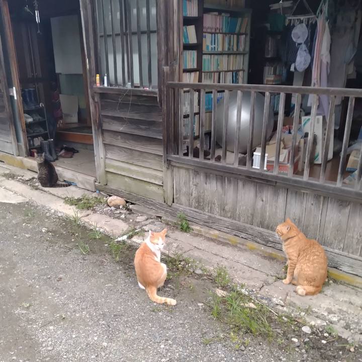 E2a6f0fd 0286 4bef aec9 5229dc443a93 1757492419210