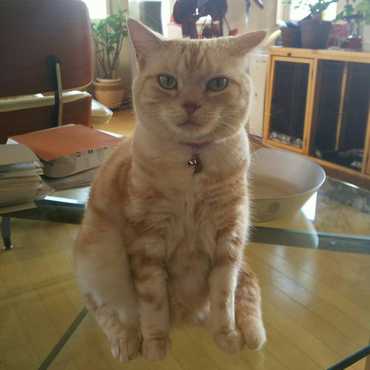 E2a70173 a34e 4c82 86ca d2fe23ae01ec 1532415239475