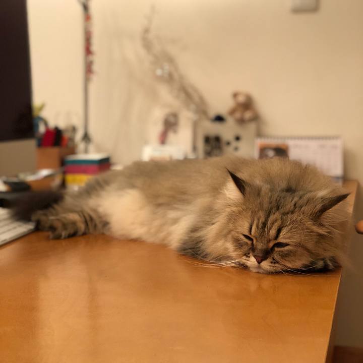 E2a72c04 638c 44dc 9938 92100333a7c9 1533985580102