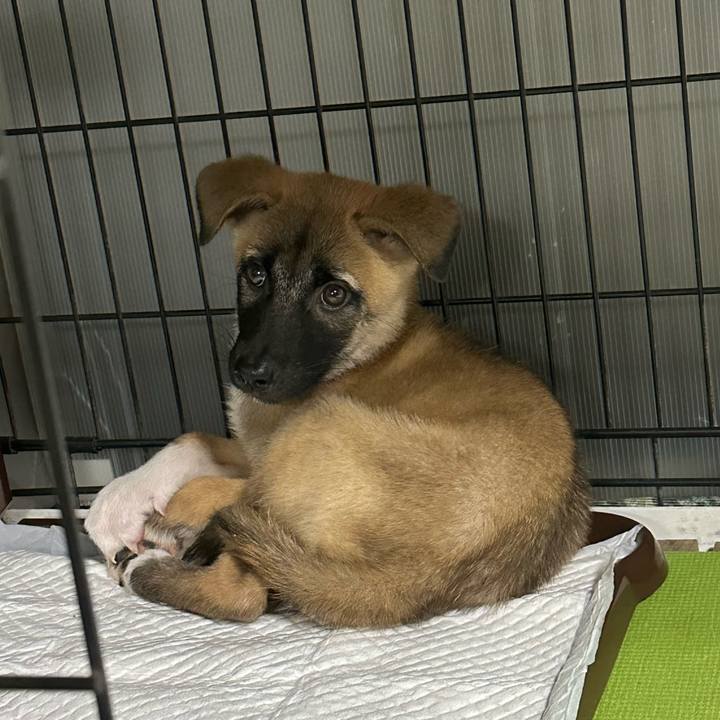 E2a73e3e ca4e 4559 8e2e ca38fcfefbba 1697334524795