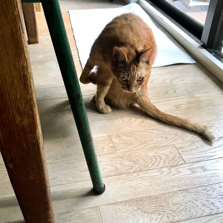 E2a73f8c 4c18 43d7 8aae 66e99473309f 1565412821279