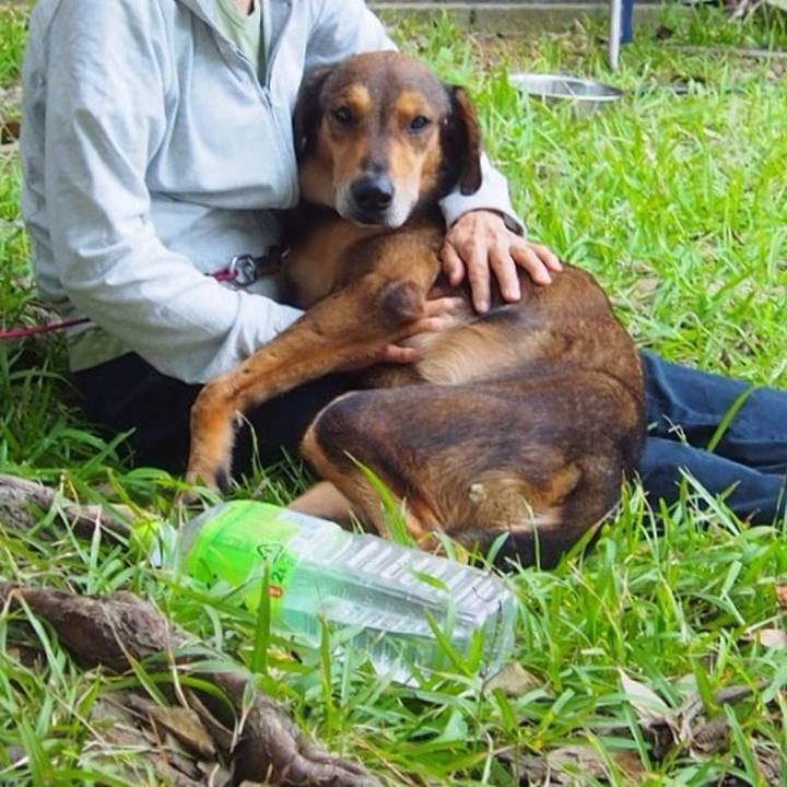 E2a76cb7 0e95 4191 ab0e 720d93543f34 1509940553152