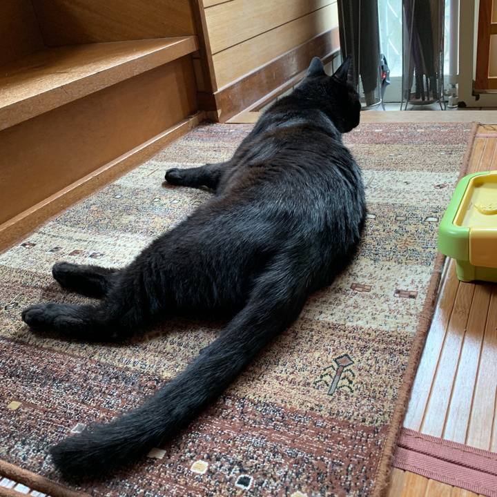 E2a7ca13 379a 475f 9a49 690520f6395a 1562548279845