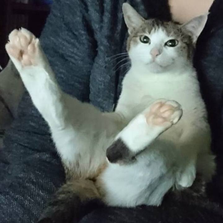 E2a7ce9b ab8e 45b3 acf0 13dc31bd5277 1625918088712