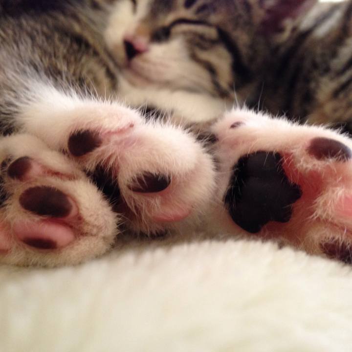 E2a7e7bb 873c 4b44 8074 3974f9b1cffc 1512823627125