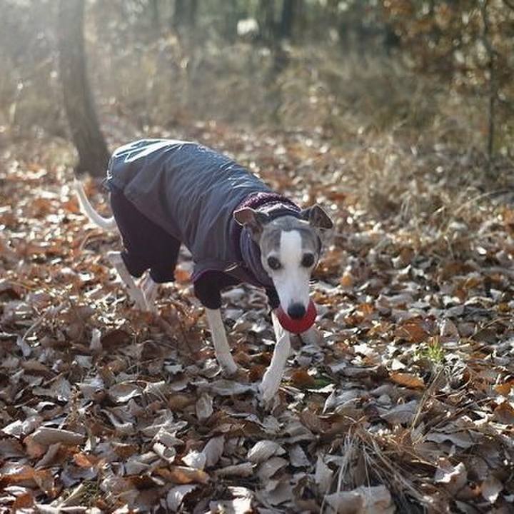 E2a86fcd 4e12 46a6 ba5b b85eca3e688a 1514283096301