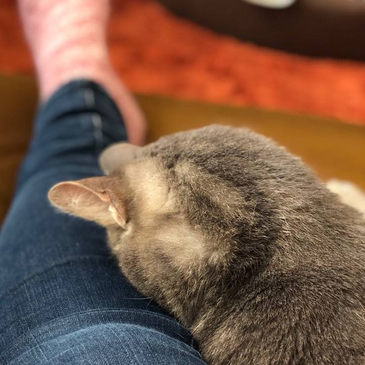 E2a8827a c358 43c3 aec4 028598158b88 1525010532605