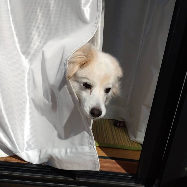 E2a89046 fd0f 49de 985a 44d756f8462c 1646543727441