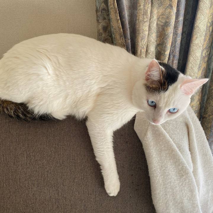 E2a8a895 0a61 4e7c 89ed be1d21c27baf 1674084515271