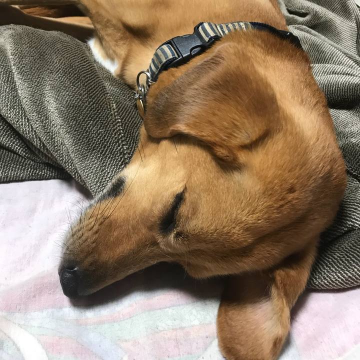 E2a8ab8a a3d2 497f b504 ef45e1d9bbe2 1529507915211