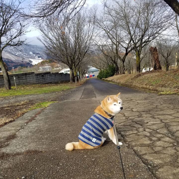 E2a8b465 98ee 4ced a3a5 add10f6943f6 1701489796026