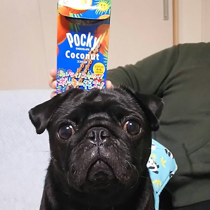 E2a8b4ad daee 4fbd 944d 4be128b35e3b 1548676752969