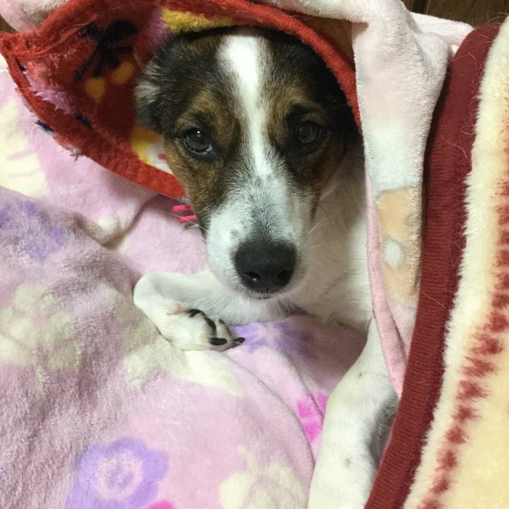 E2a8cb18 25eb 423f b9ae 0086f55dd104 1547553392426