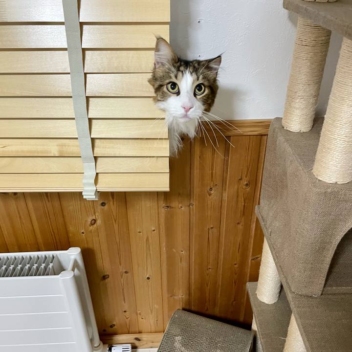 E2a900a2 8c1d 4acb adb9 c55190b7cba7 1677785900918