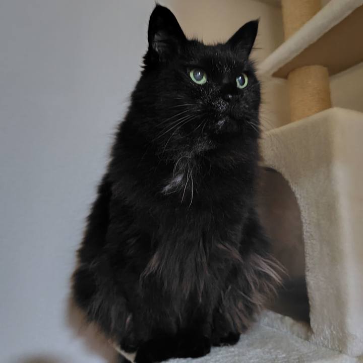 E2a9327f 9d9f 4598 87b0 a53adb75b406 1744806814127